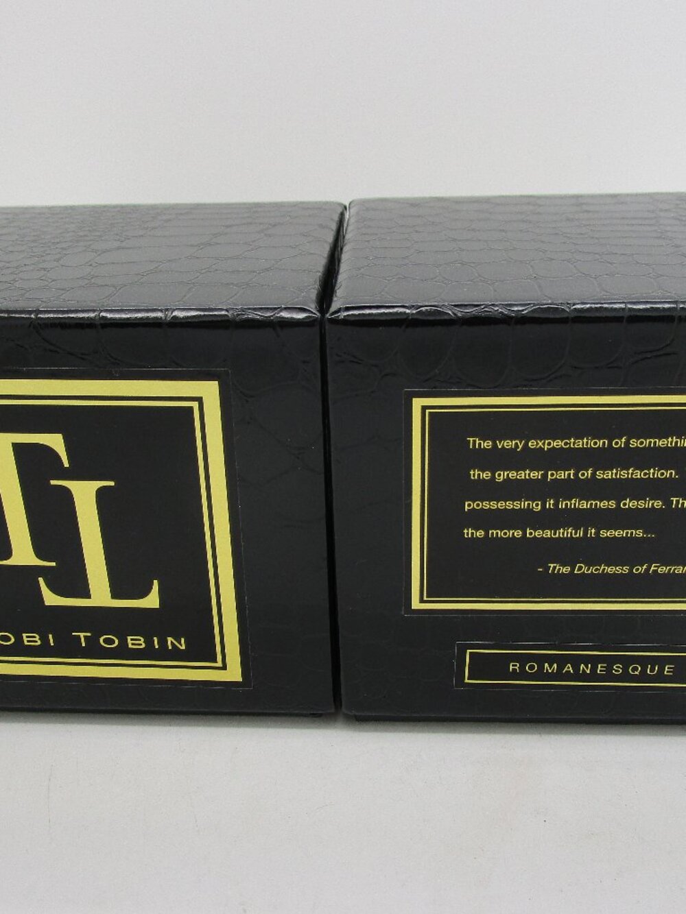 Lot of 2 TOBI TOBIN "Romanesque" 2-Wick 9 oz Luxury Scented Candles NEW